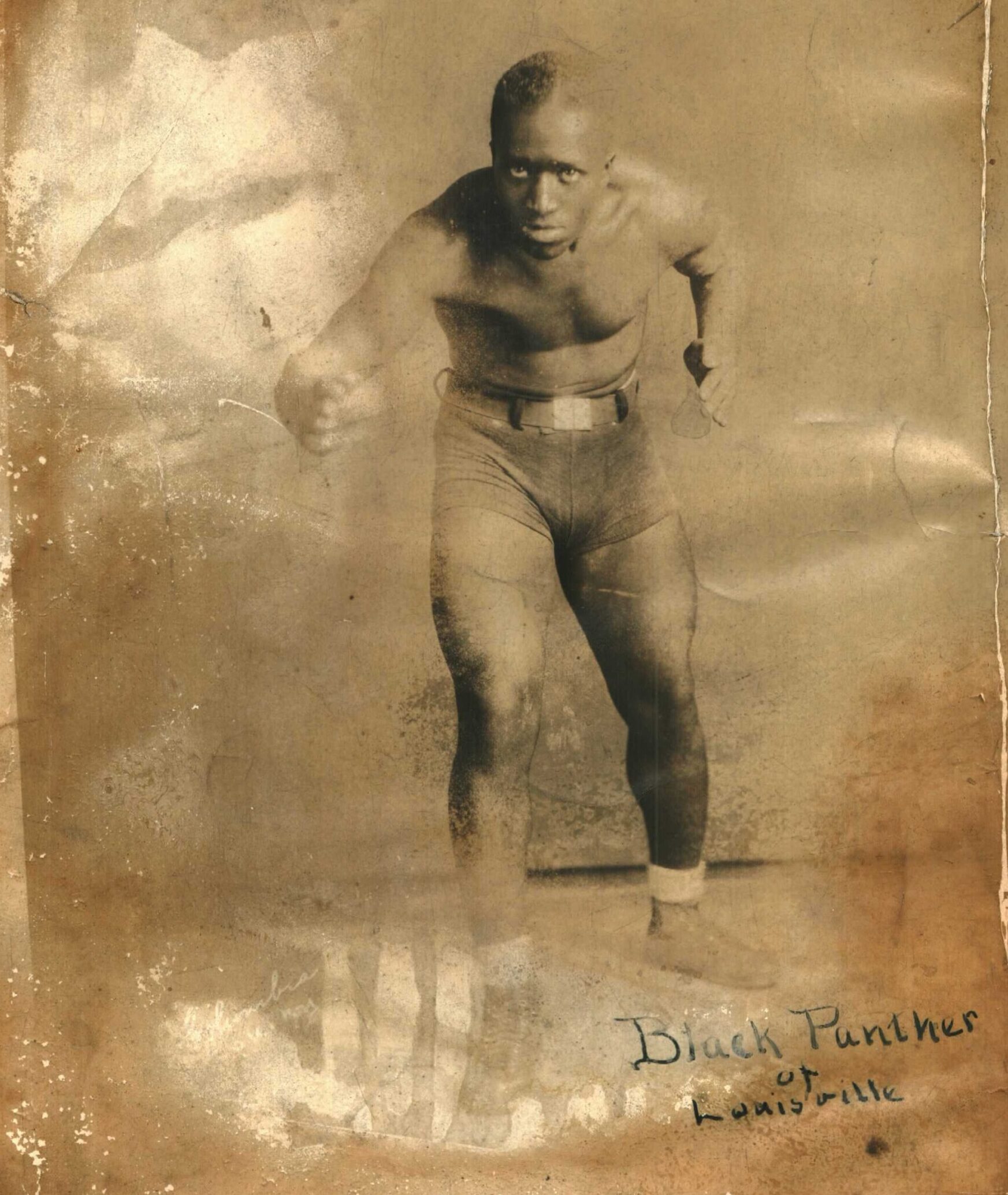 Batista - The Official Wrestling Museum